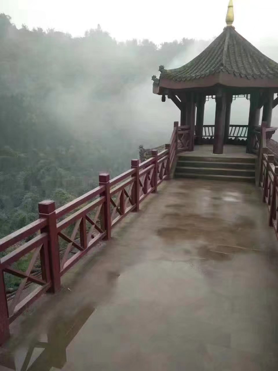 X型仿（fǎng）木（mù）護欄  (111).jpg
