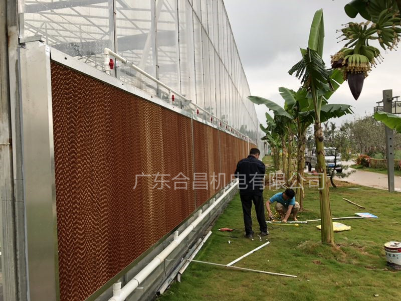 東江大（dà）棚基地---選擇合昌濕簾（lián）降溫工程