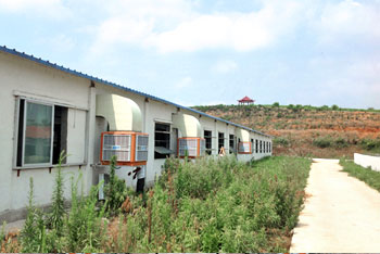 養豬場使用環保空調降溫通風案例