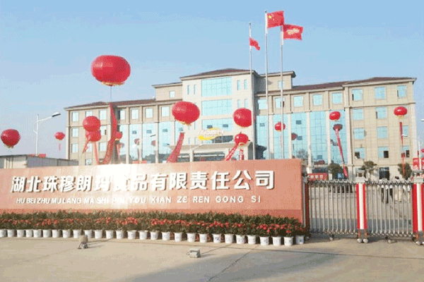 湖（hú）北珠穆朗瑪食品車間淨化工程