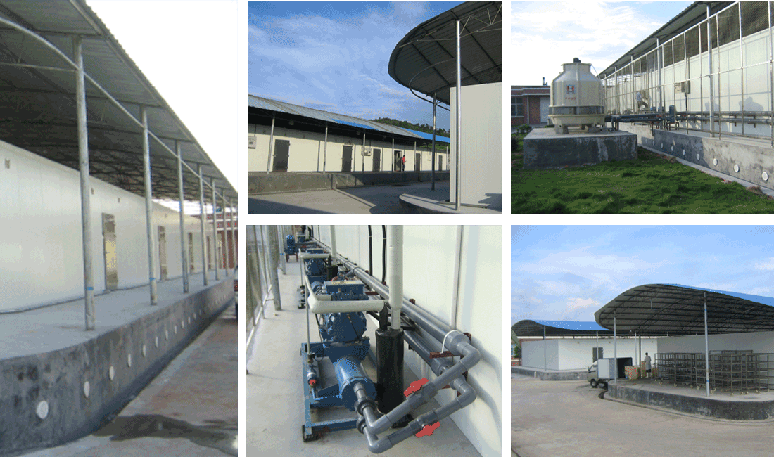 湖南底溫冷庫工程案例