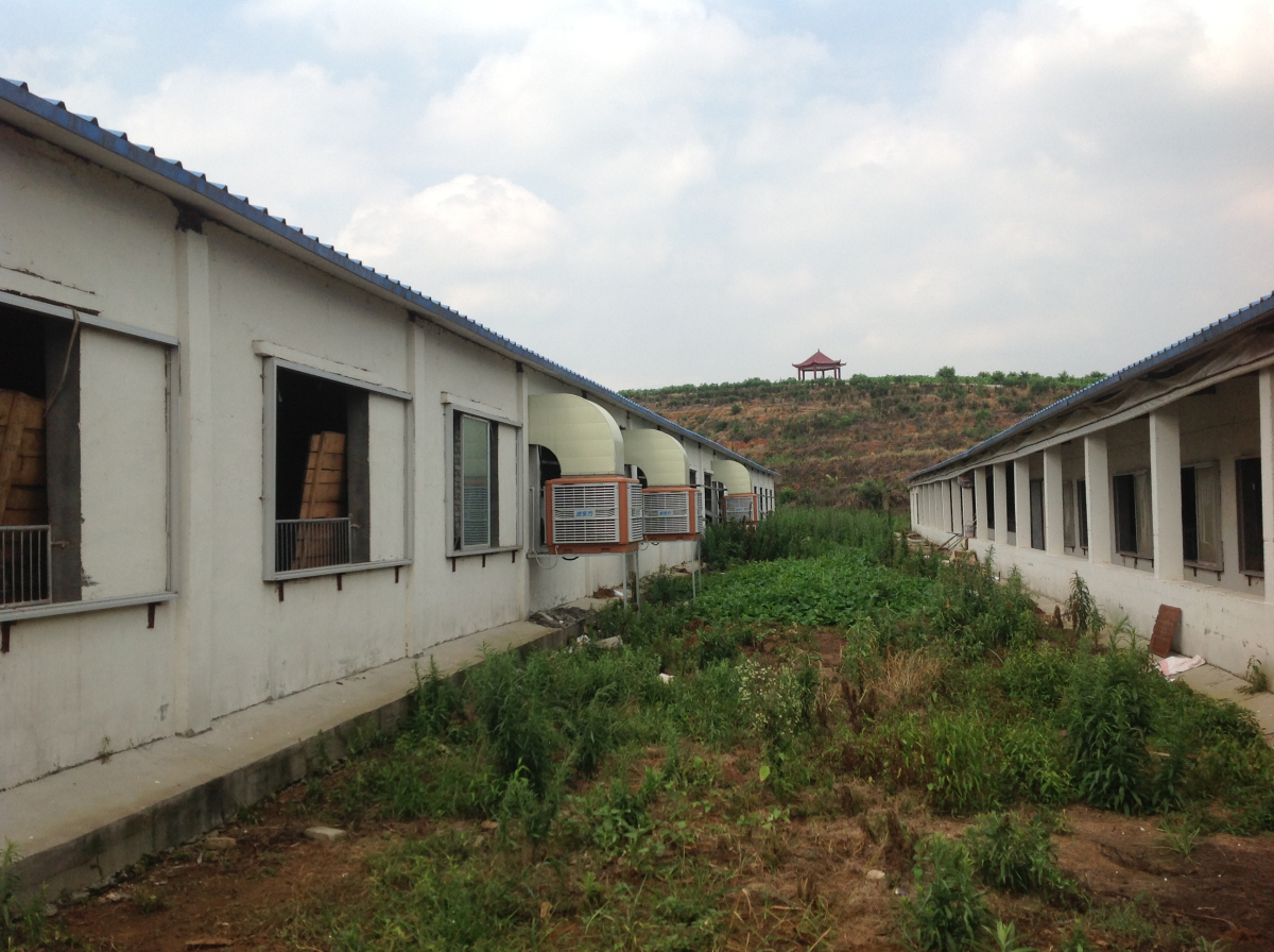 養殖場除味通風降溫解決方案 雞舍降溫 豬舍降（jiàng）溫 牛棚降溫