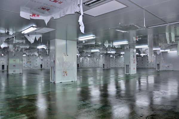 十萬級淨化車間工程地（dì）坪處理（lǐ）