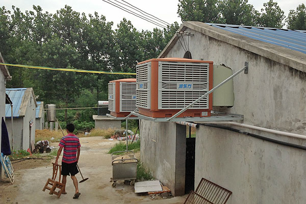 養豬場降溫通風 養豬場降溫通風