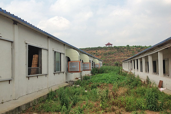 養豬場通風降溫 養豬場通風降溫