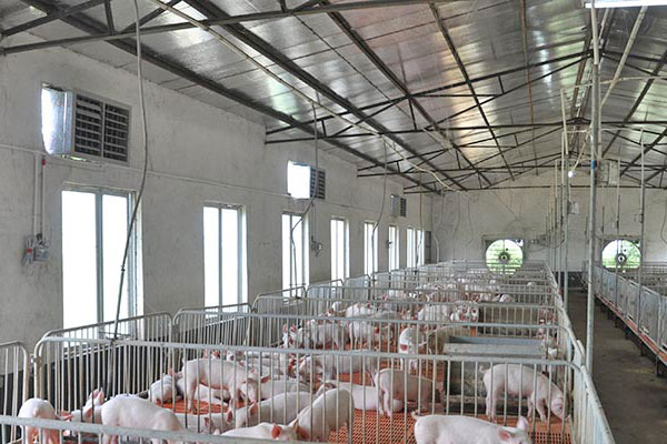 通風降溫 通風降溫