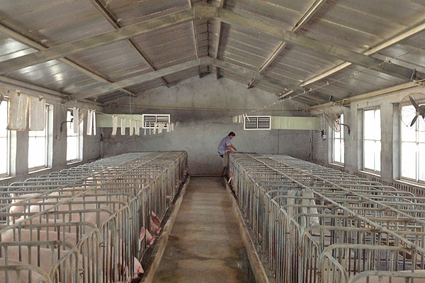 通(tōng)風降(jiàng)溫 通風降溫