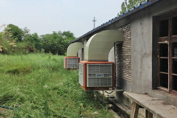 養豬場通風降(jiàng)溫 養豬場通(tōng)風降溫