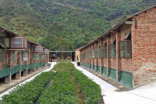 養豬場通風降溫 養豬場通風降溫