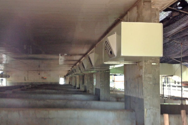 養豬(zhū)場通風降溫 養豬場通風降溫