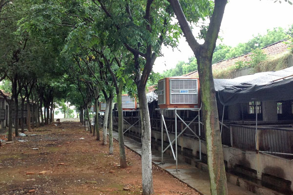 通風降溫 通風降溫