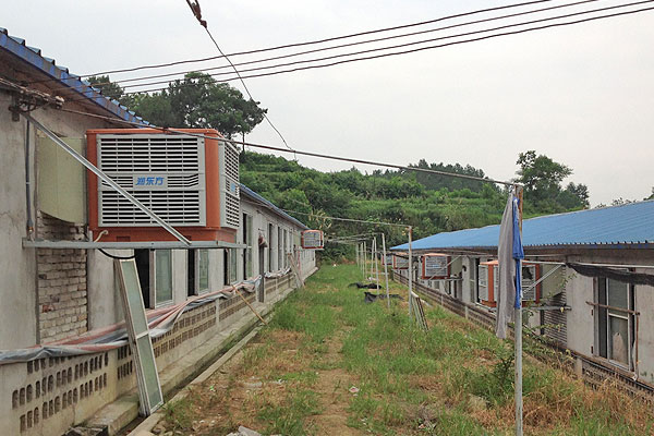 養(yǎng)豬場降溫通風 養豬場降溫通風(fēng)