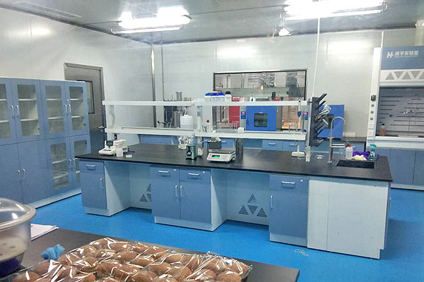 食品淨化車間 食品淨(jìng)化車間