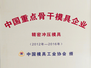中國重（chóng）點骨幹（gàn）模具企業